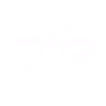 Mirrer Yeshiva